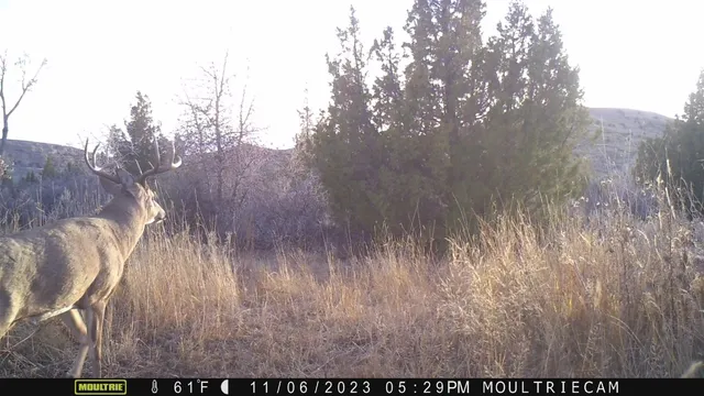 $1,400,000 | 10322 Hwy 26 South, Kinnear, WY 82516