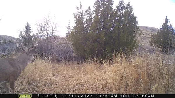 $1,400,000 | 10322 Hwy 26 South, Kinnear, WY 82516