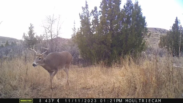 $1,400,000 | 10322 Hwy 26 South, Kinnear, WY 82516