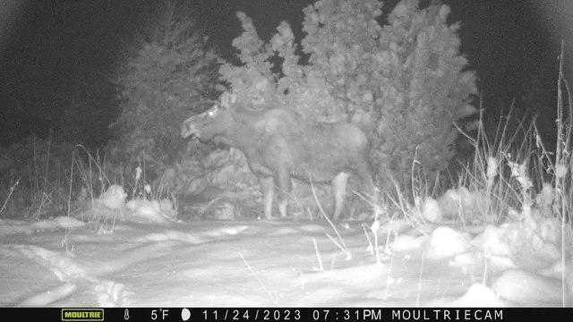 $1,400,000 | 10322 Hwy 26 South, Kinnear, WY 82516