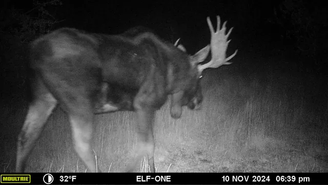 $1,400,000 | 10322 Hwy 26 South, Kinnear, WY 82516