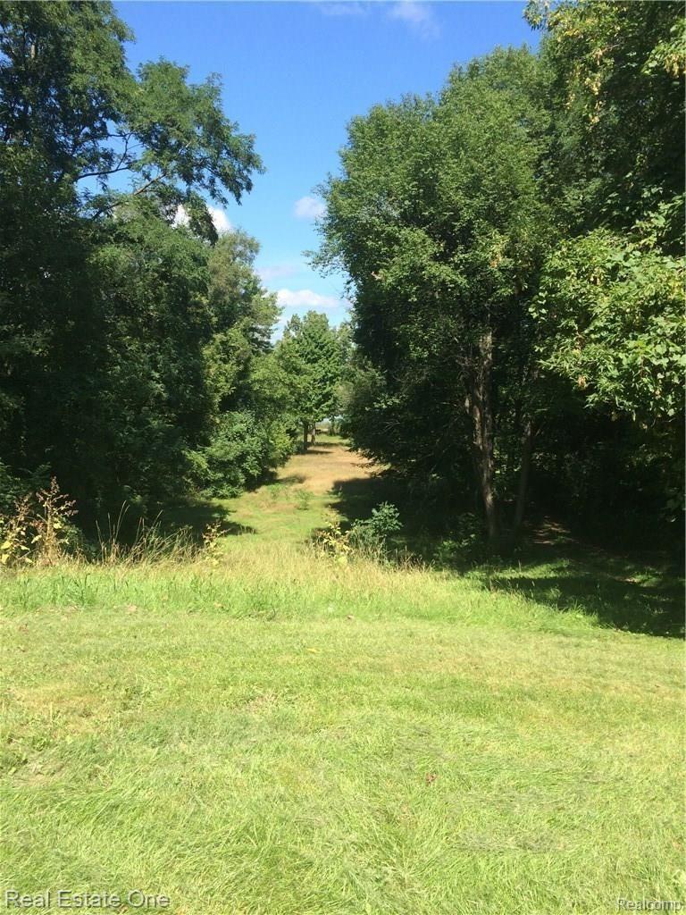 2614 Judah Road Lake Orion, MI 48359 - Photo 12 of 41 View from deck into the back yard