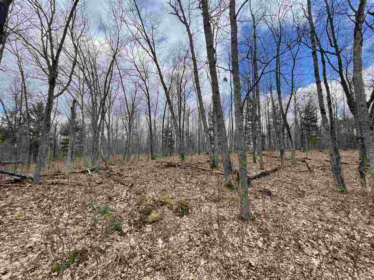 20 East A E Decker Rd Branch Branch, MI 49402 - Photo 11 of 31
