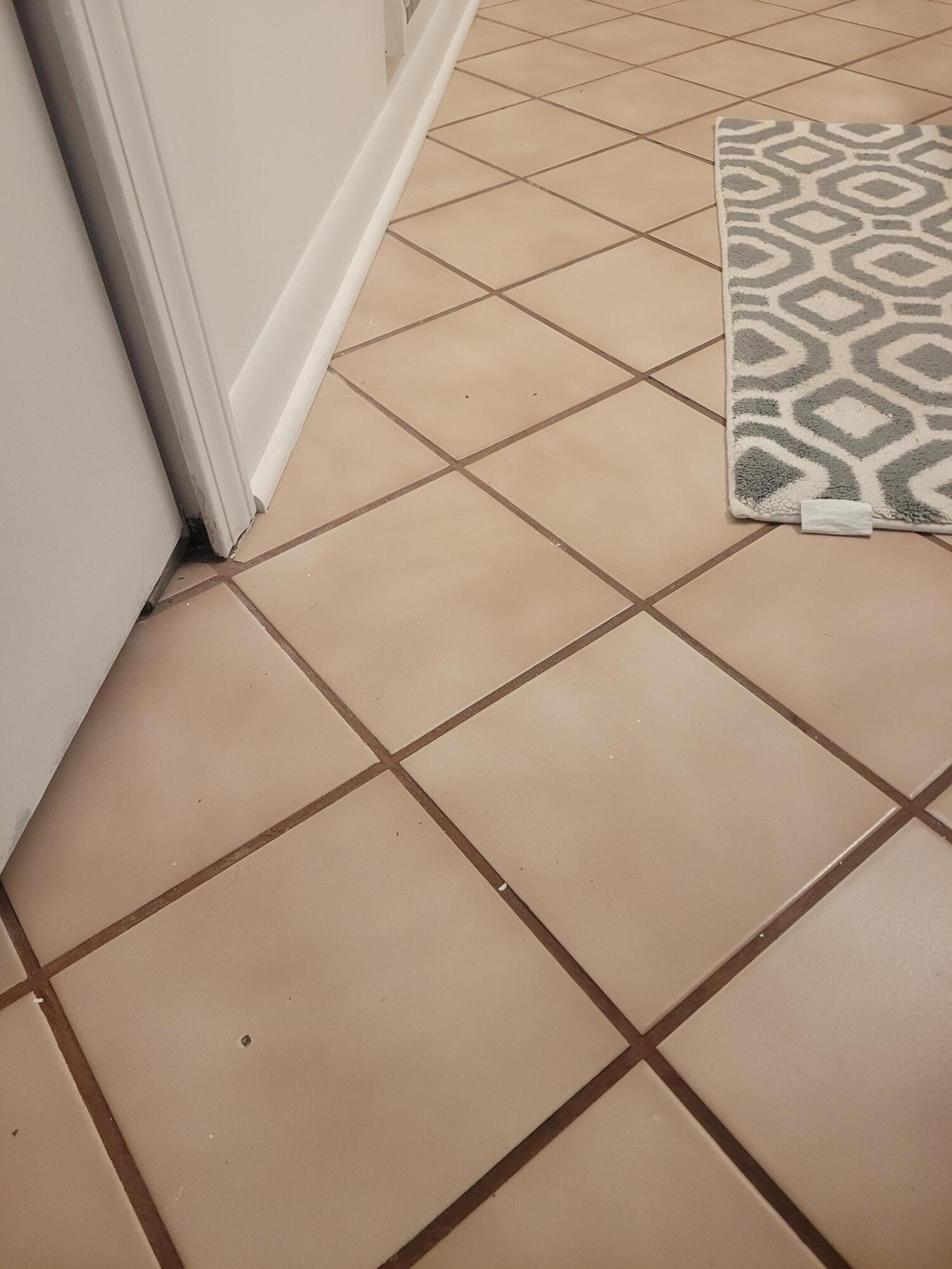 6322 Princess Street Taylor, MI 48180 - Photo 27 of 39 20260617_125527