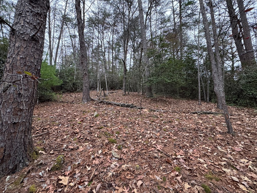289 Paradise Road Murphy, NC 28906 - Photo 8 of 8