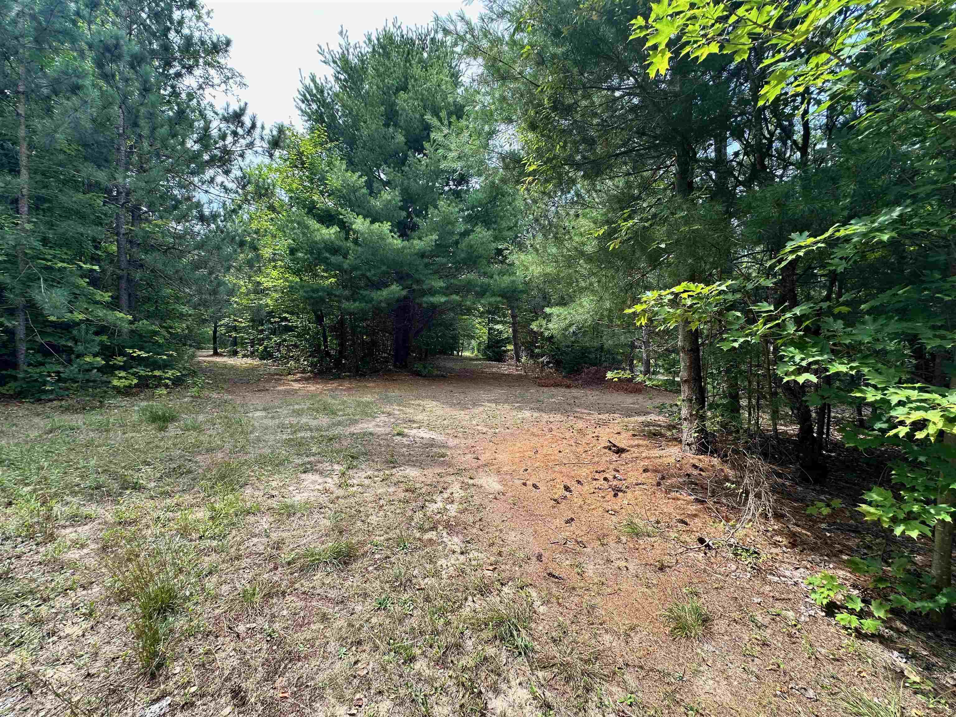 7658 Cedar River Road Mancelona, MI 49659 - Photo 17 of 24 1949521-044624bf-b0e6-42de-888b-8313a6538302.JPG