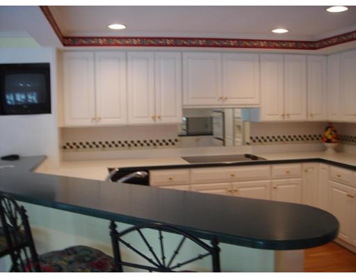 31 Swarthmore Road Wellesley, MA 02482 - Photo 4 of 7