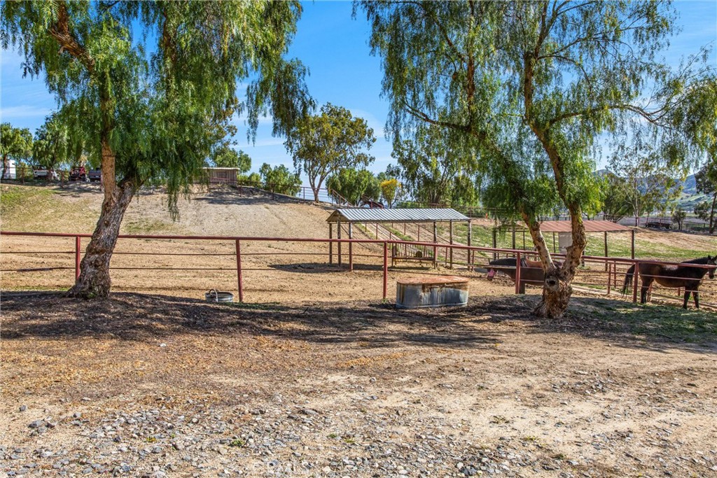 30260 San Timoteo Canyon Road Redlands, CA 92373 - Photo 47 of 66 Horse shown in photo is not included in the sale of the property.