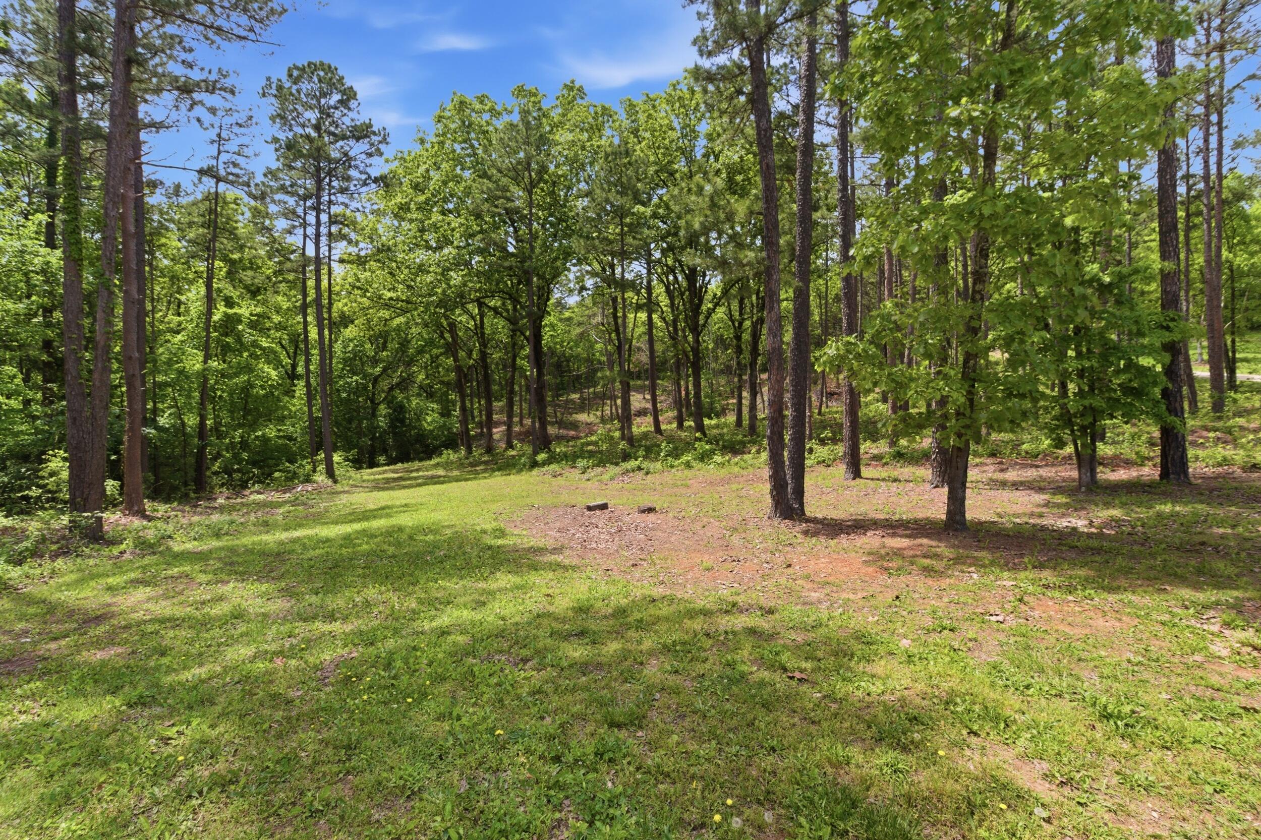2 Circle B Road Eminence, MO 65466 - Photo 1 of 16 img_0253