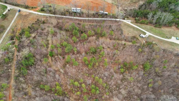 a view of a yard with trees