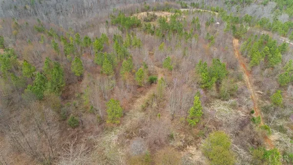 a big yard with lots of bushes