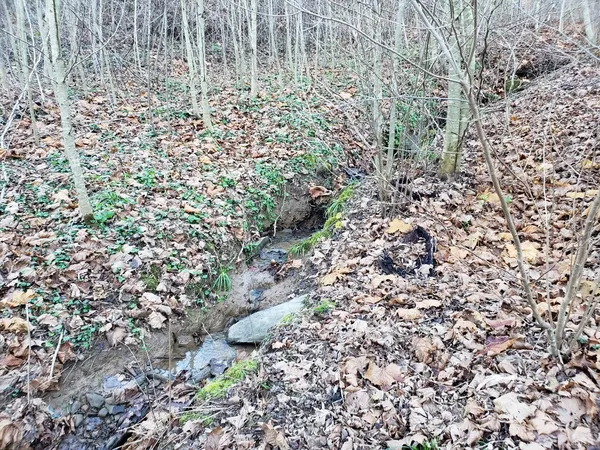 $135,000 | 0 Rocky Creek Lane, Gladstone, VA 24553