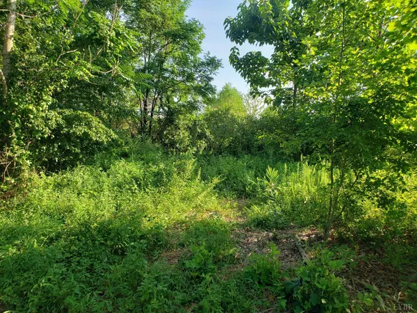 $135,000 | 0 Rocky Creek Lane, Gladstone, VA 24553