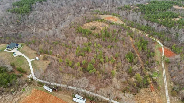a view of a yard with trees