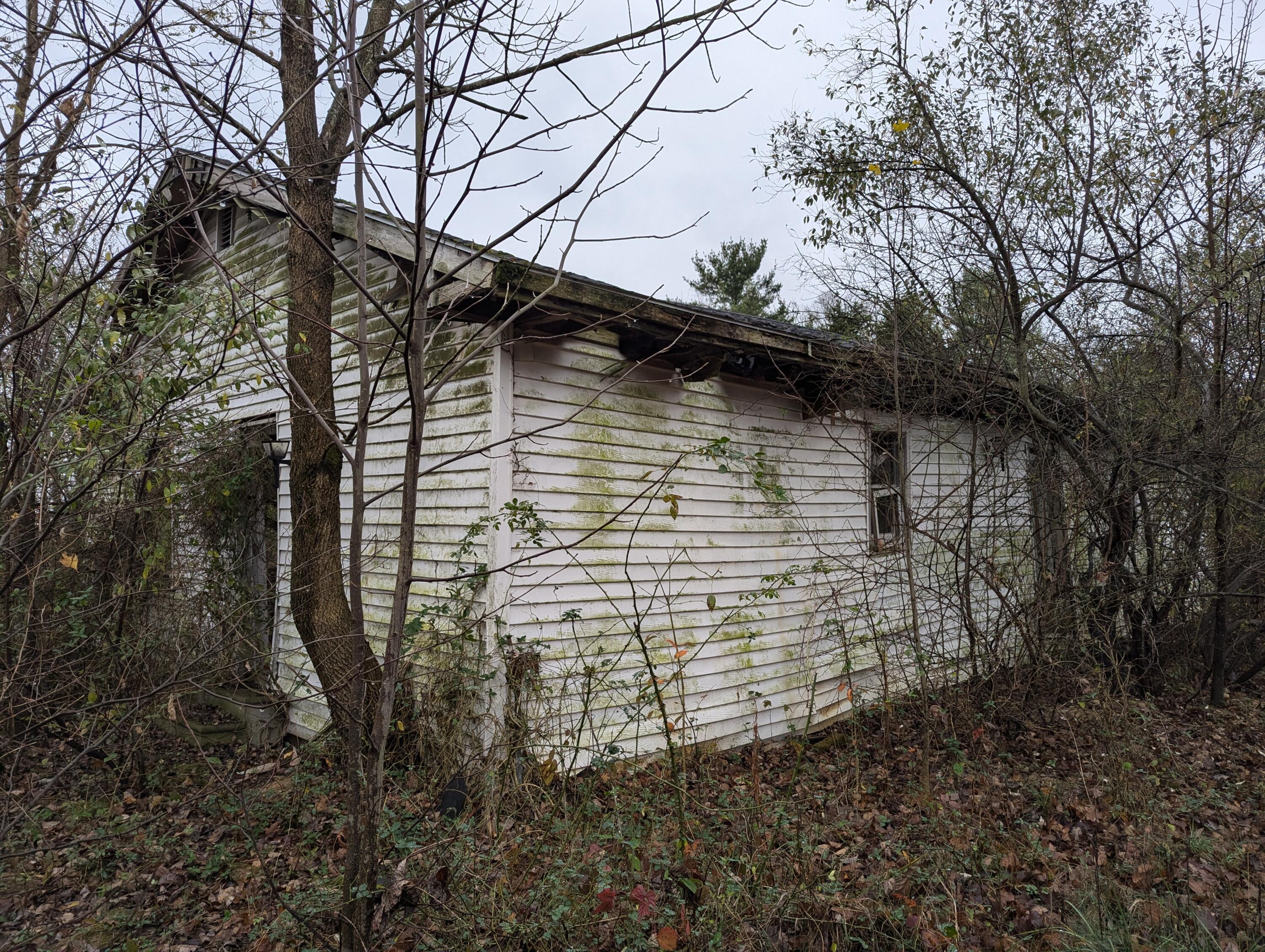 314 Murphy Road Frankfort, OH 45628 - Photo 2 of 8 PXL_20241119_161701351