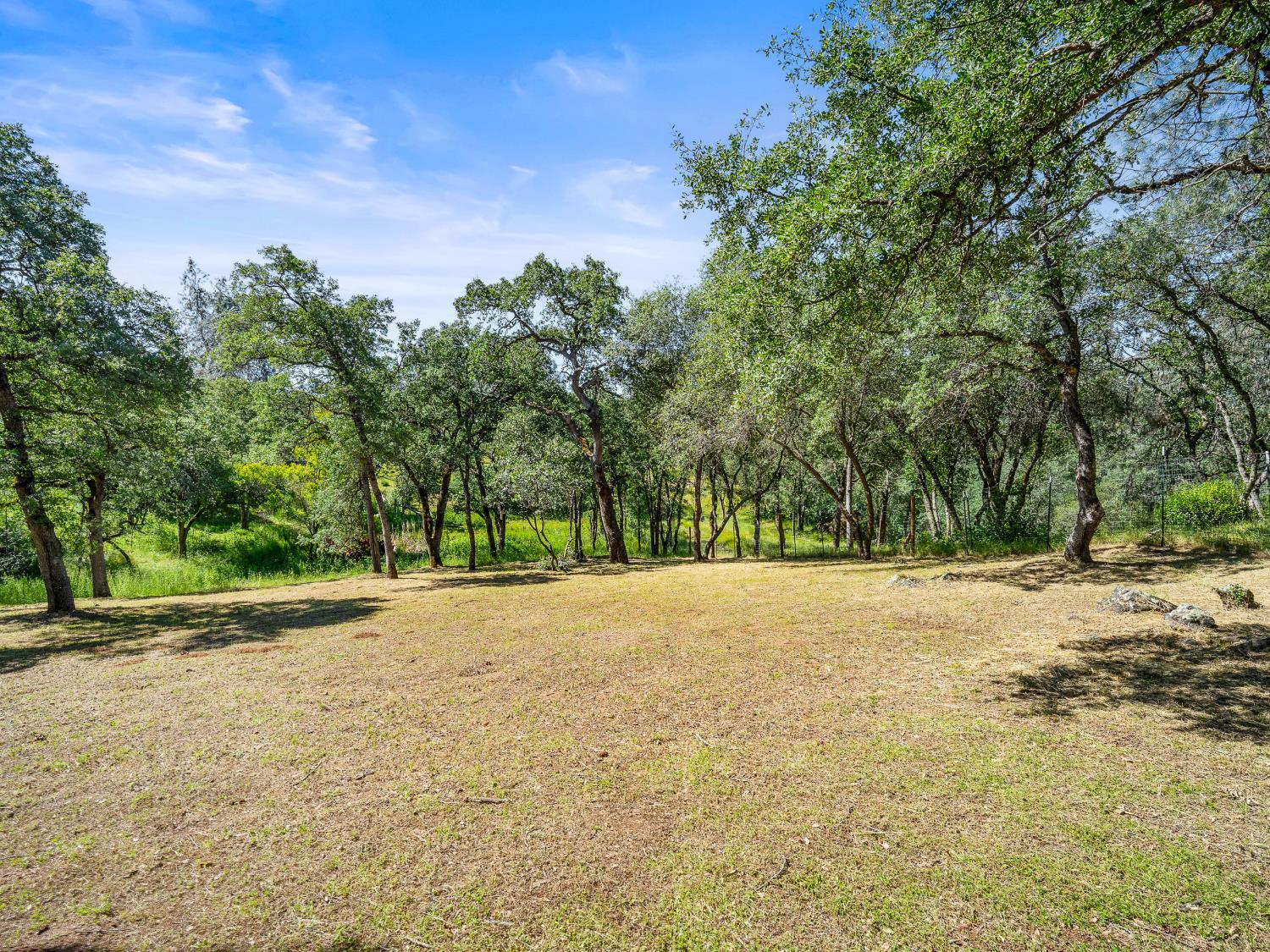 5080 Gold Hill Road Placerville, CA 95667 - Photo 42 of 63 Lots of open space amidst the oaks and grasses, also a small seasonal creek and pond.