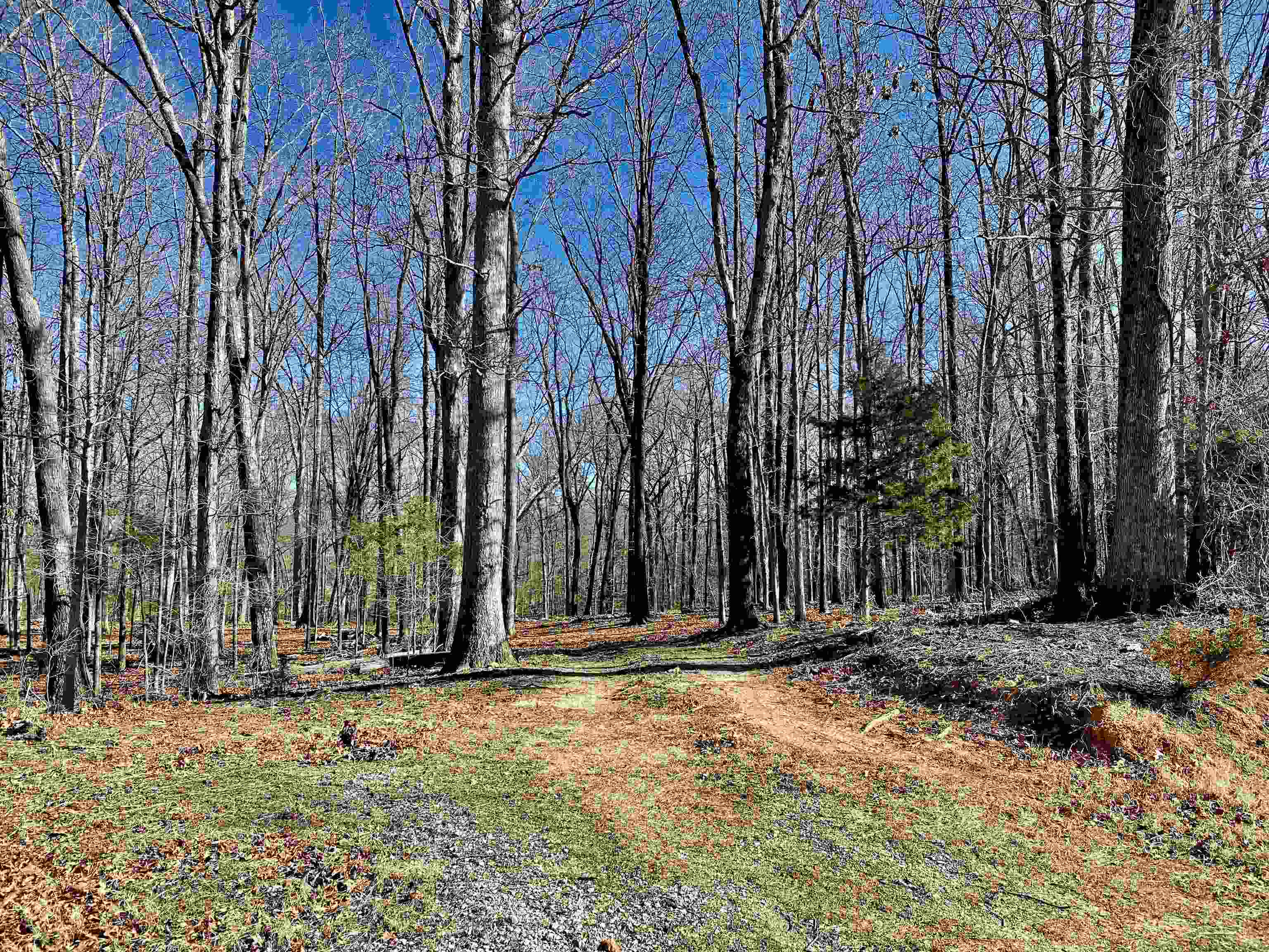 5.15 Country Club Road Somerville, TN 38068 - Photo 1 of 12 Gallery Image 1