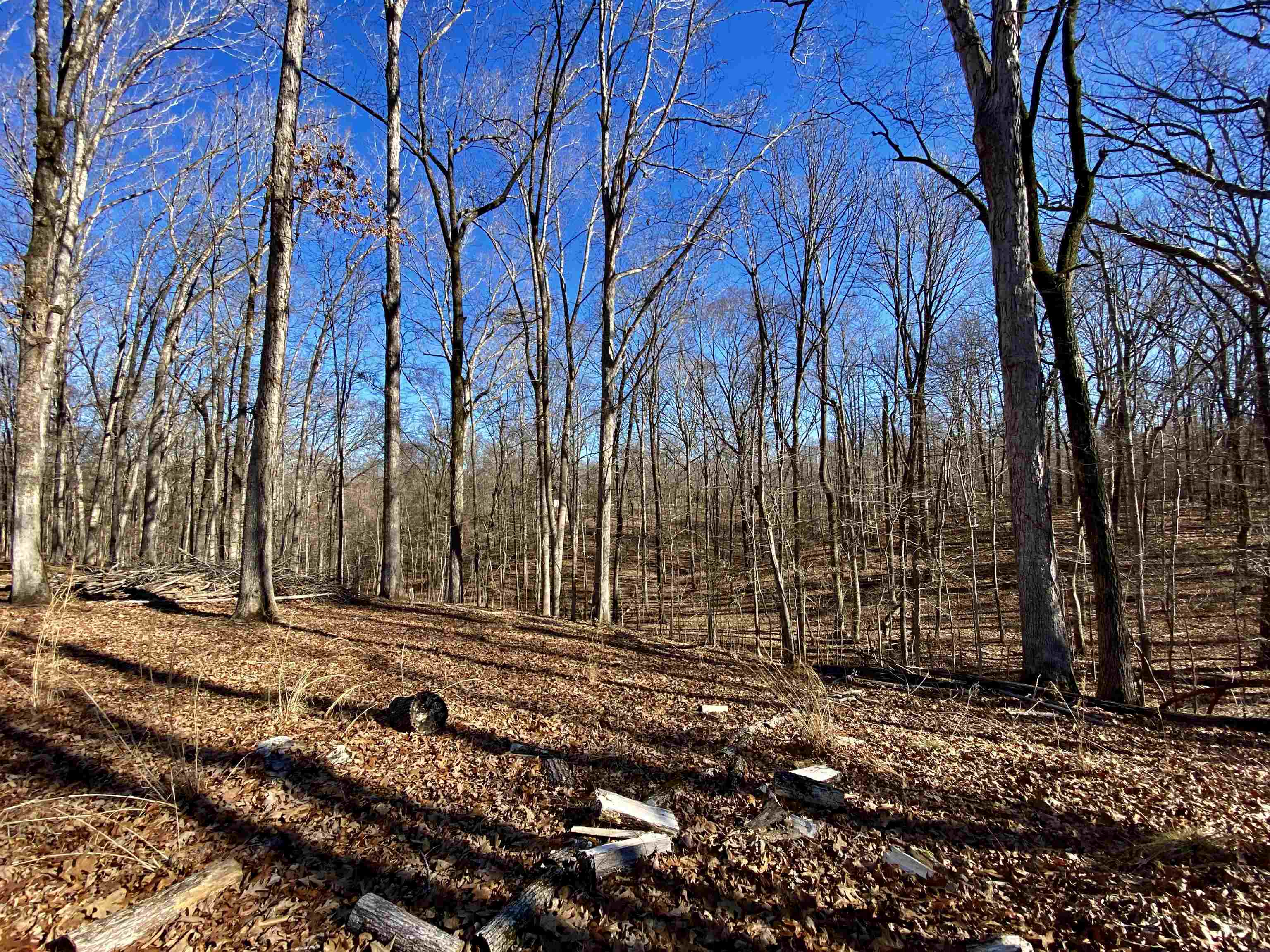5.15 Country Club Road Somerville, TN 38068 - Photo 11 of 12 Gallery Image 11