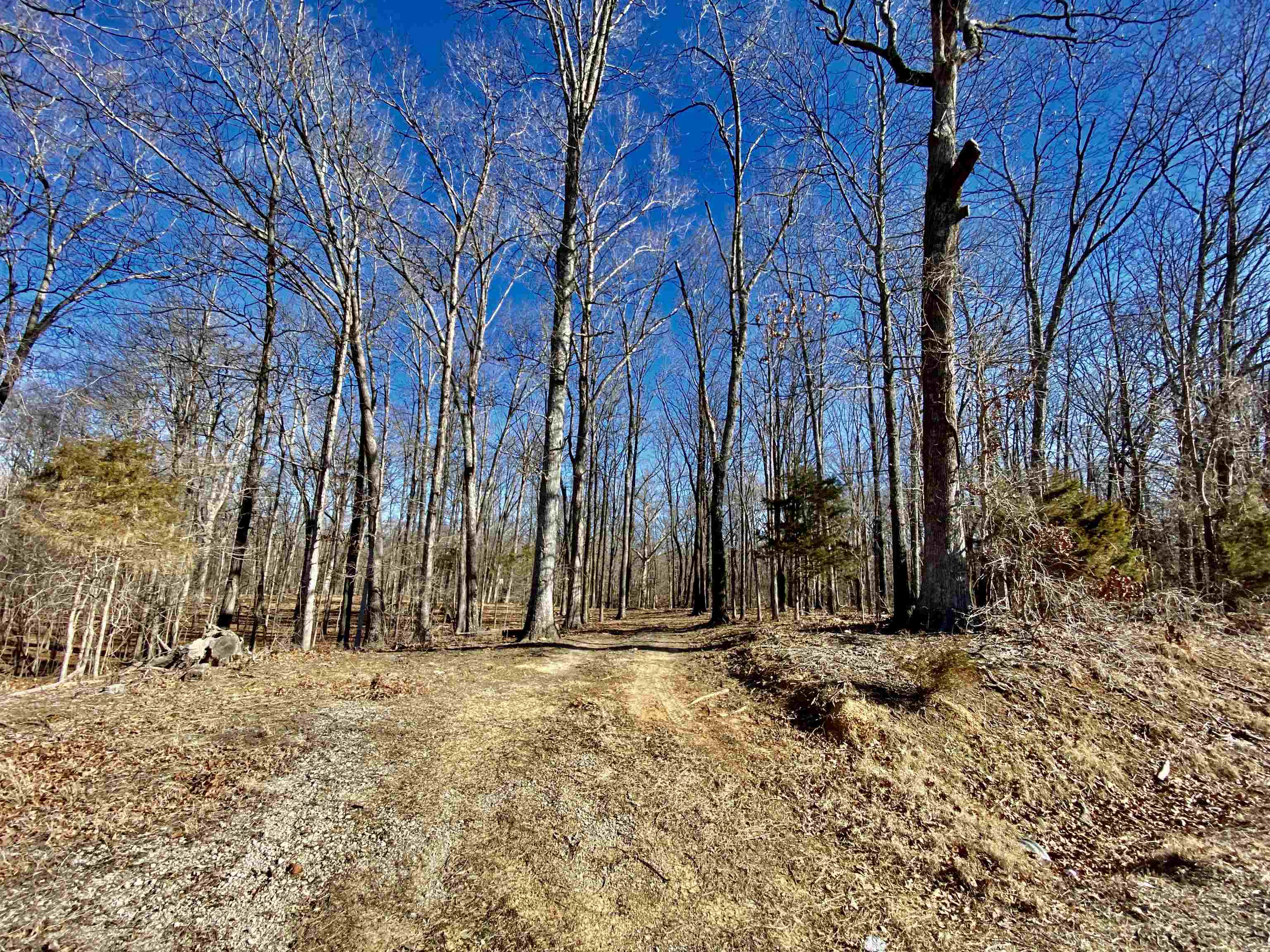 5.15 Country Club Road Somerville, TN 38068 - Photo 12 of 12 Gallery Image 12