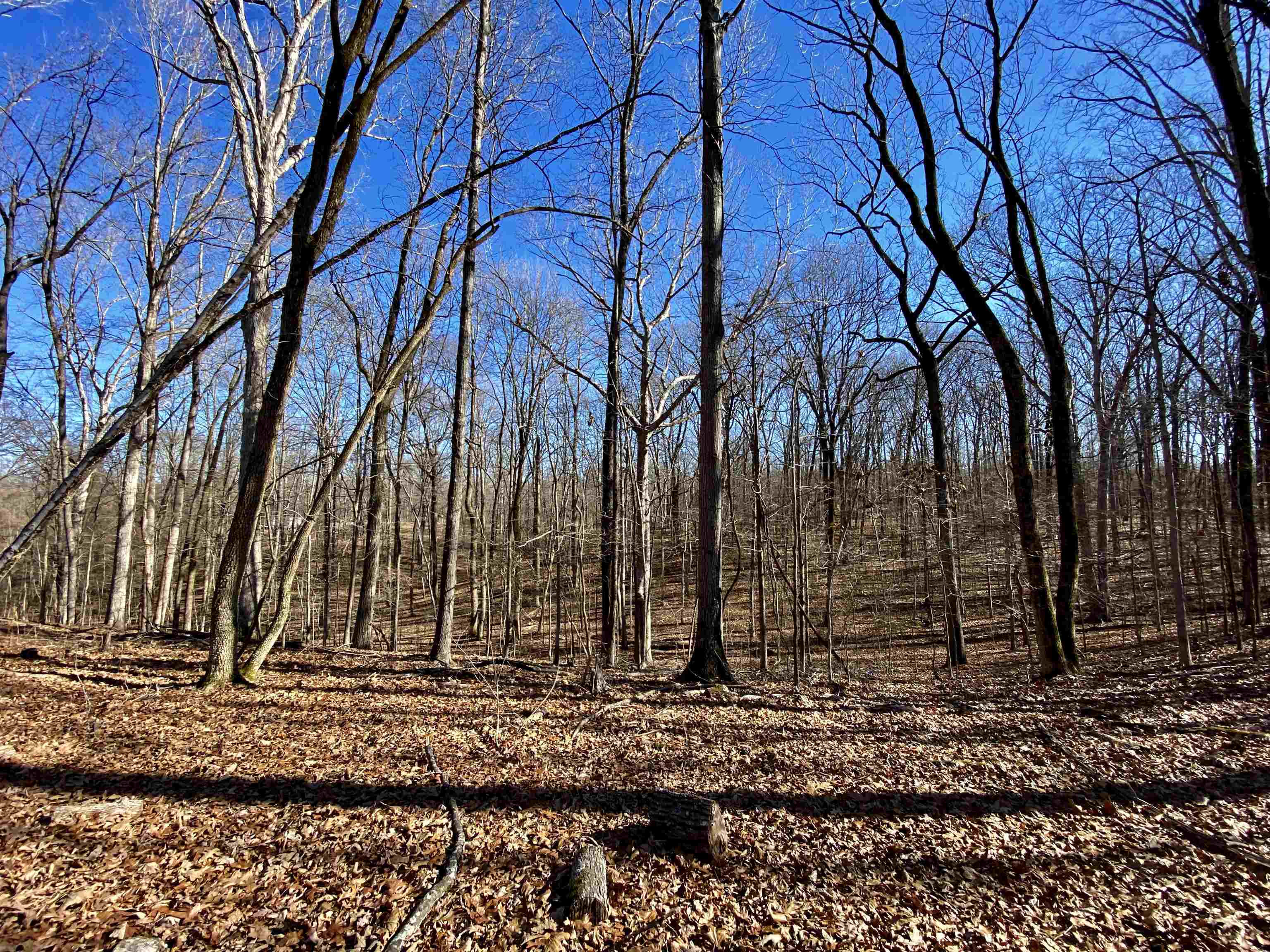 5.15 Country Club Road Somerville, TN 38068 - Photo 7 of 12 Gallery Image 7