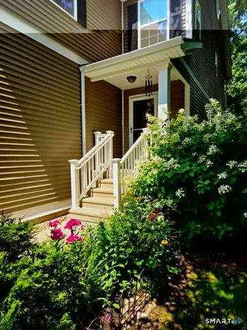 a flower plants in front of a house