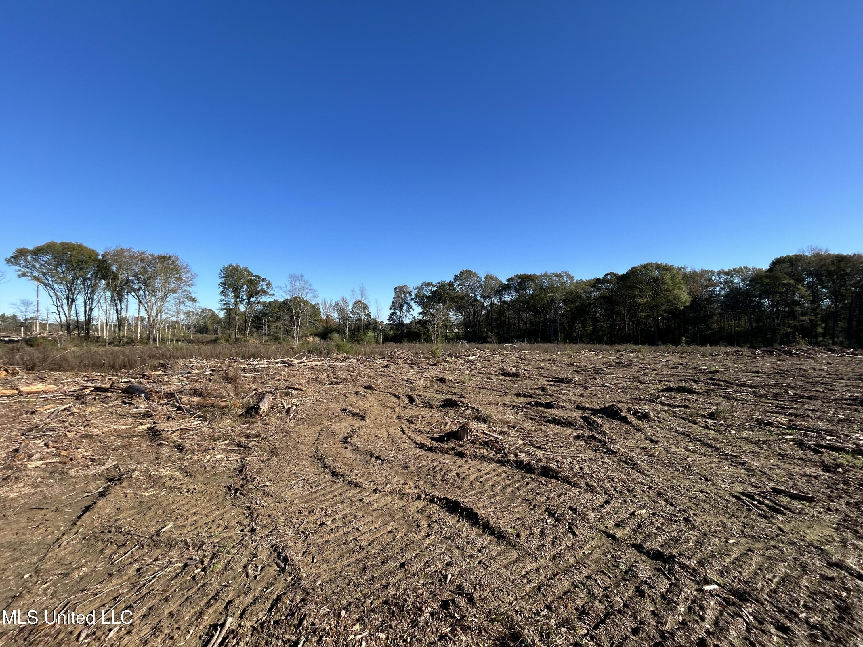 Warren Cook Road Mendenhall, MS 39114 - Photo 3 of 8 Sim-Cook-9.85-Lot3g