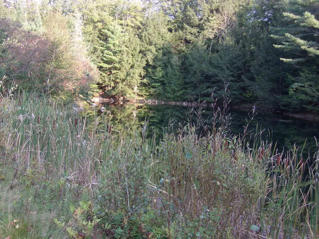 $67,000 | Fenn Way Circle, Unit 7, Bath, NH 03740