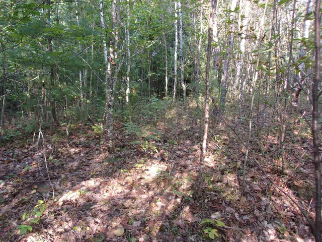 $67,000 | Fenn Way Circle, Unit 7, Bath, NH 03740