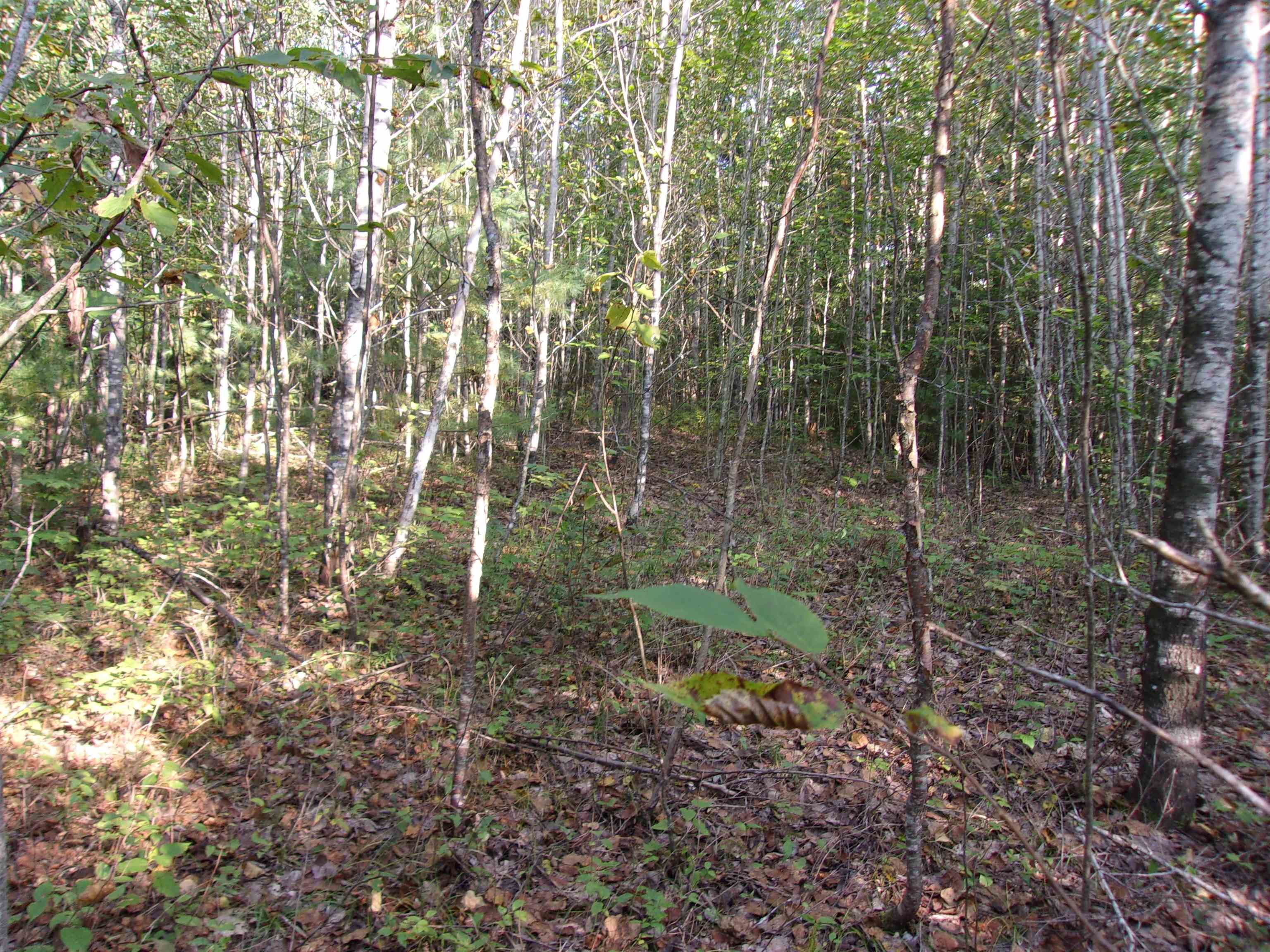 Fenn Way Circle, Unit 7 Bath, NH 03740 - Photo 7 of 18