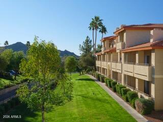 10410 North Cave Creek Road, Unit 2043 Phoenix, AZ 85020 - Photo 21 of 22 a view of a house with a yard and potted plants