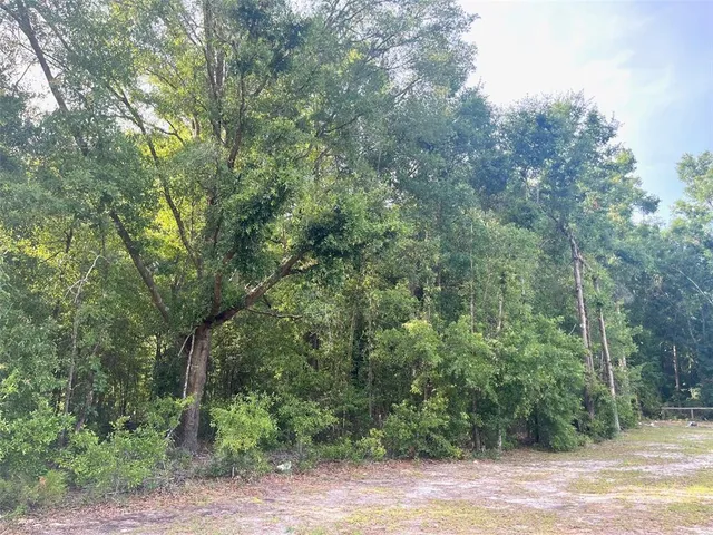 a view of a swimming pool with a yard