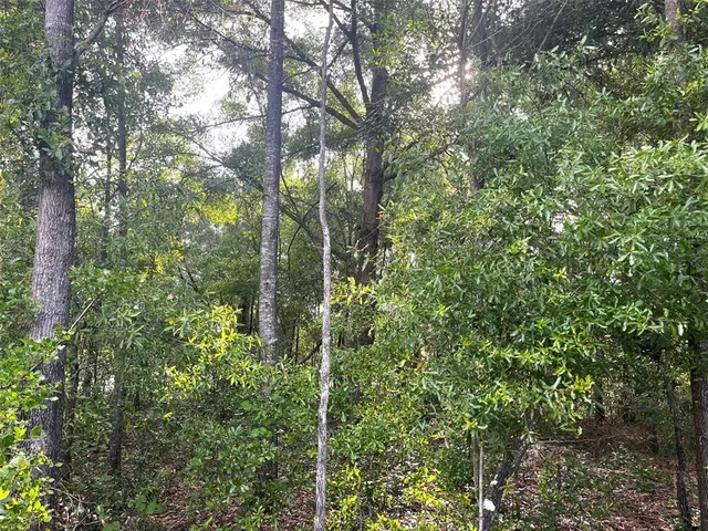 $70,000 | 0 Northeast 56th Street, High Springs, FL 32643