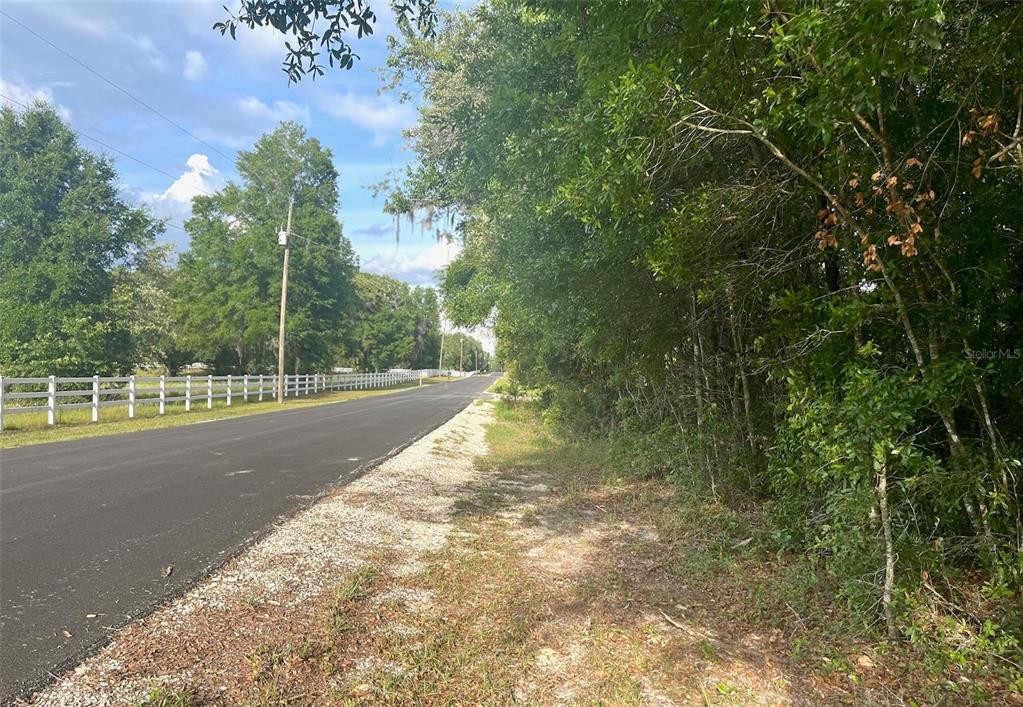 0 Northeast 56th Street High Springs, FL 32643 - Photo 5 of 23 a view of a yard with plants and large trees