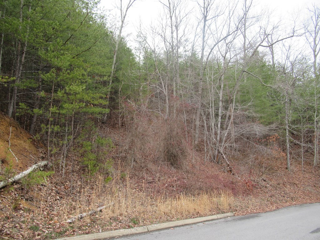 156 Bear Valley Road Sevierville, TN 37876 - Photo 8 of 15