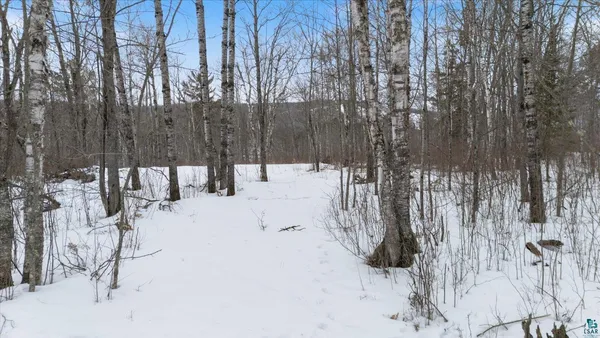 $80,000 | Tbd Voyageurs Trail, Biwabik, MN 55705