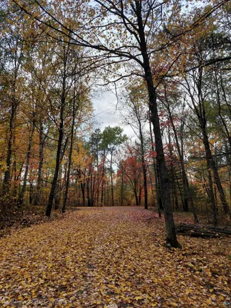 $80,000 | Tbd Voyageurs Trail, Biwabik, MN 55705