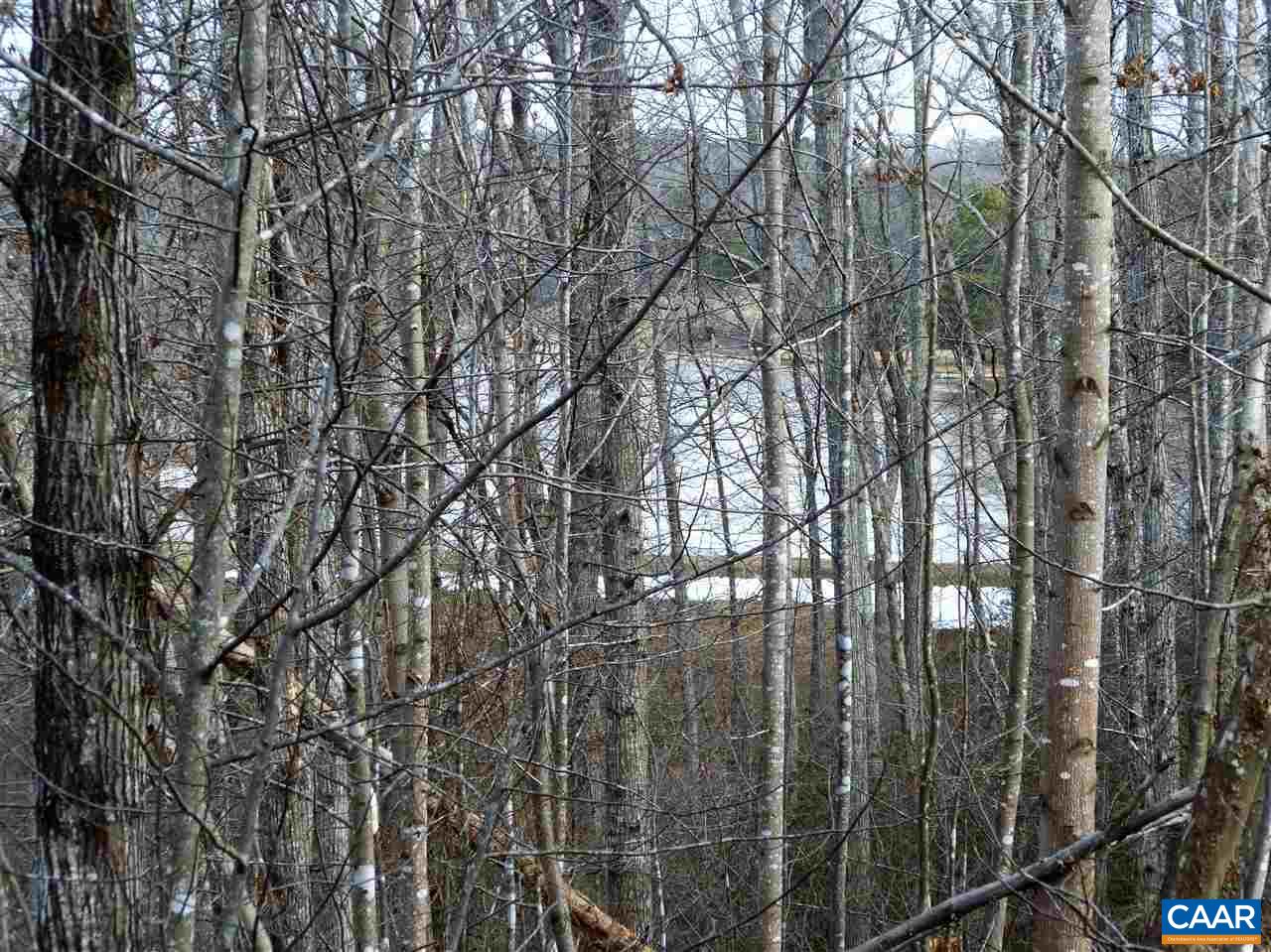 25 Poppy Road Ruckersville, VA 22968 - Photo 31 of 32 a view of forest
