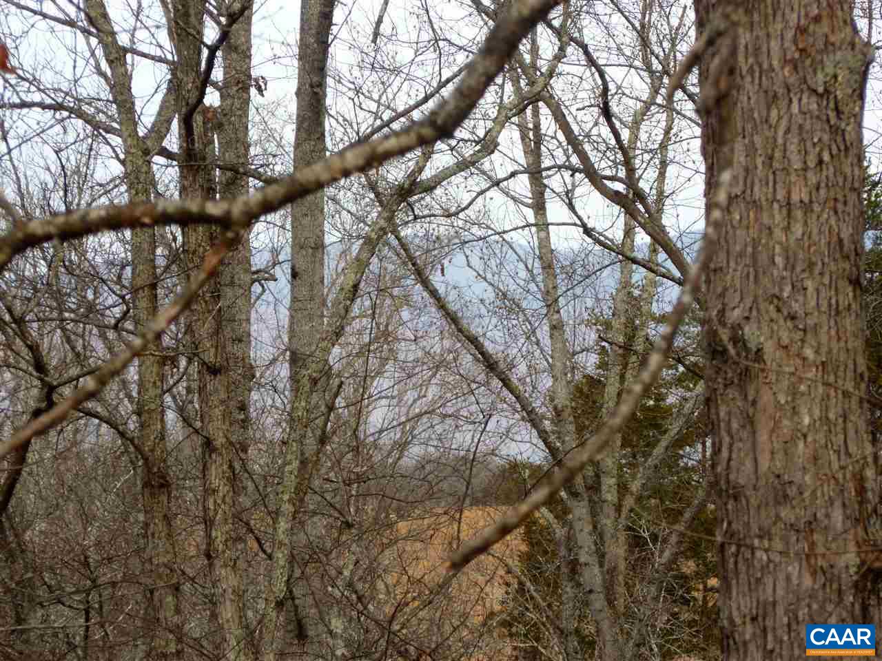 25 Poppy Road Ruckersville, VA 22968 - Photo 32 of 32 a picture of tree