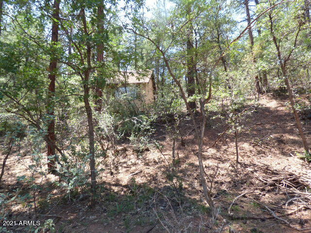 3944 Orloff Road, Unit 349 Pine, AZ 85544 - Photo 13 of 13 Gallery Image 13