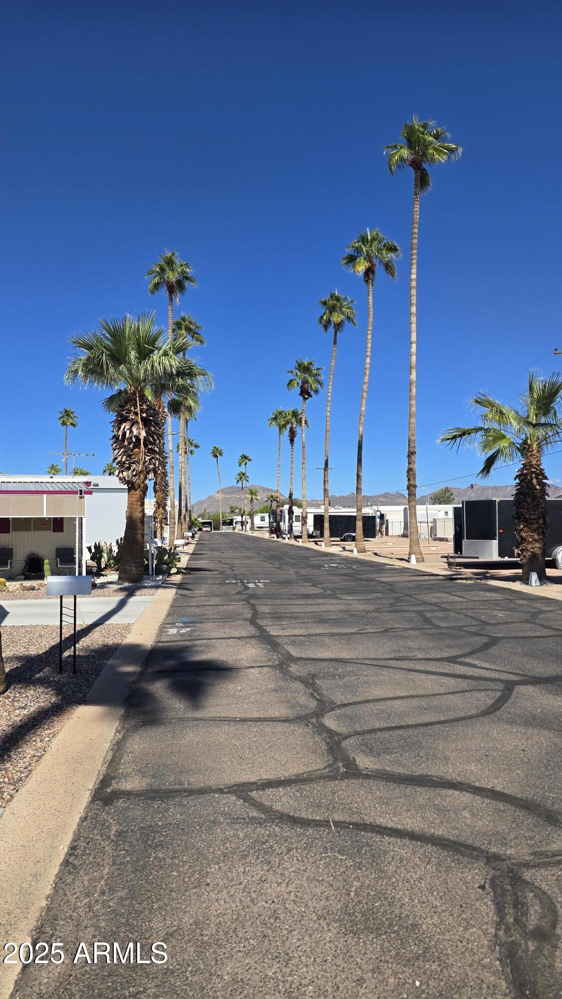10540 East Apache Trail, Unit 182 Apache Junction, AZ 85120 - Photo 22 of 24 street facing north