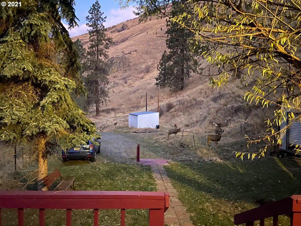 57915 Highway 203 Union, OR 97883 - Photo 21 of 27 a backyard of a house with lots of green space