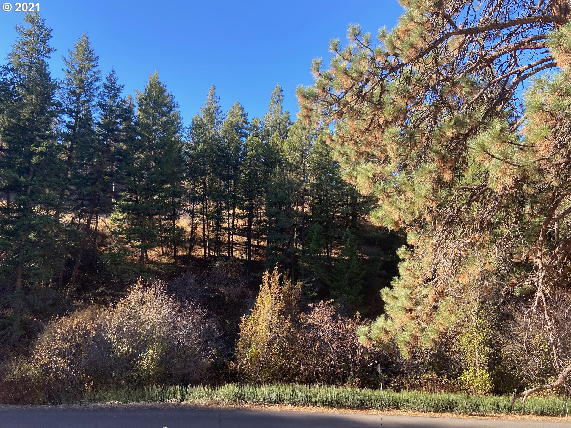 57915 Highway 203 Union, OR 97883 - Photo 22 of 27 a view of a lake