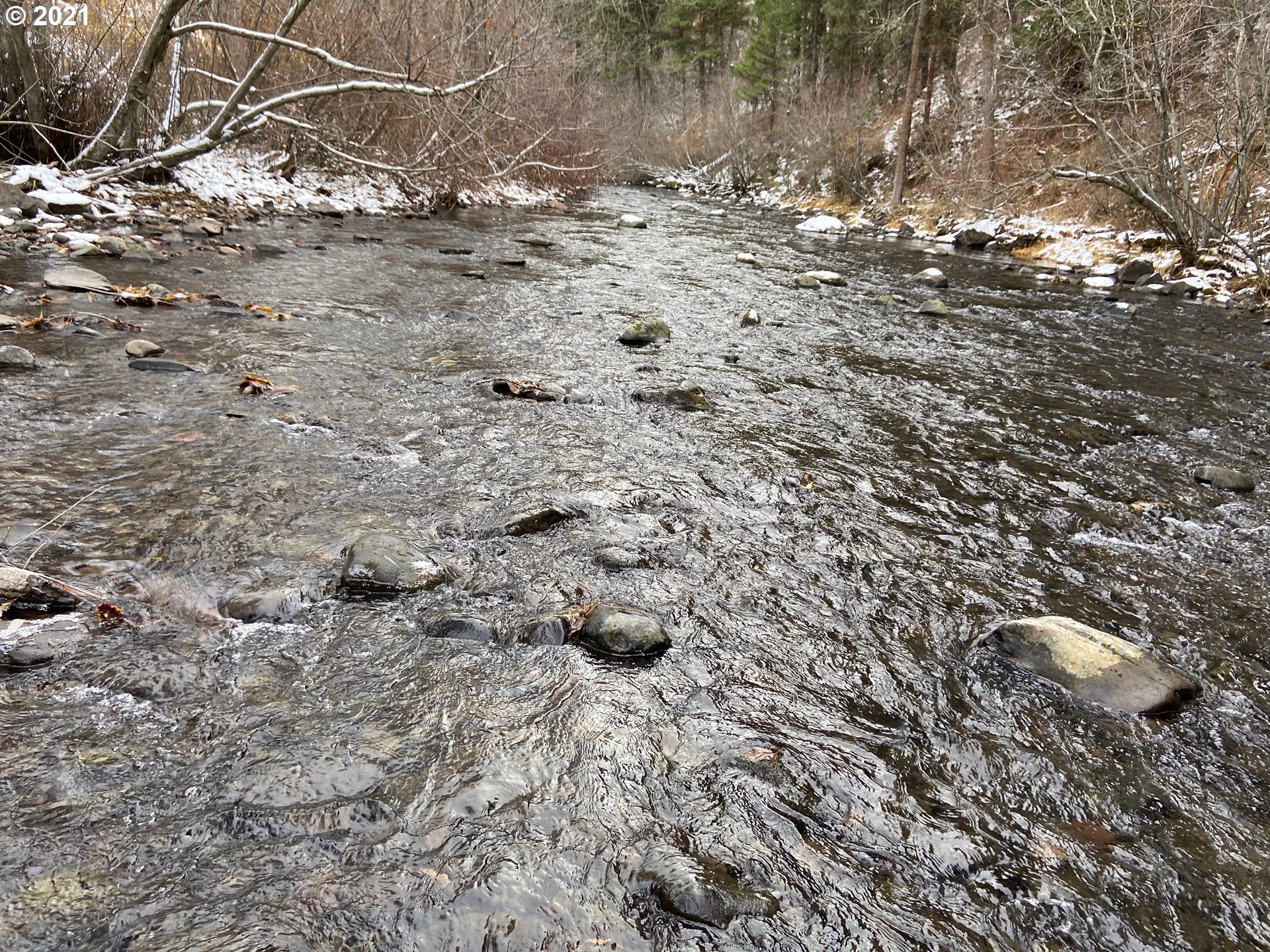 57915 Highway 203 Union, OR 97883 - Photo 25 of 27 a view of a backyard of the house