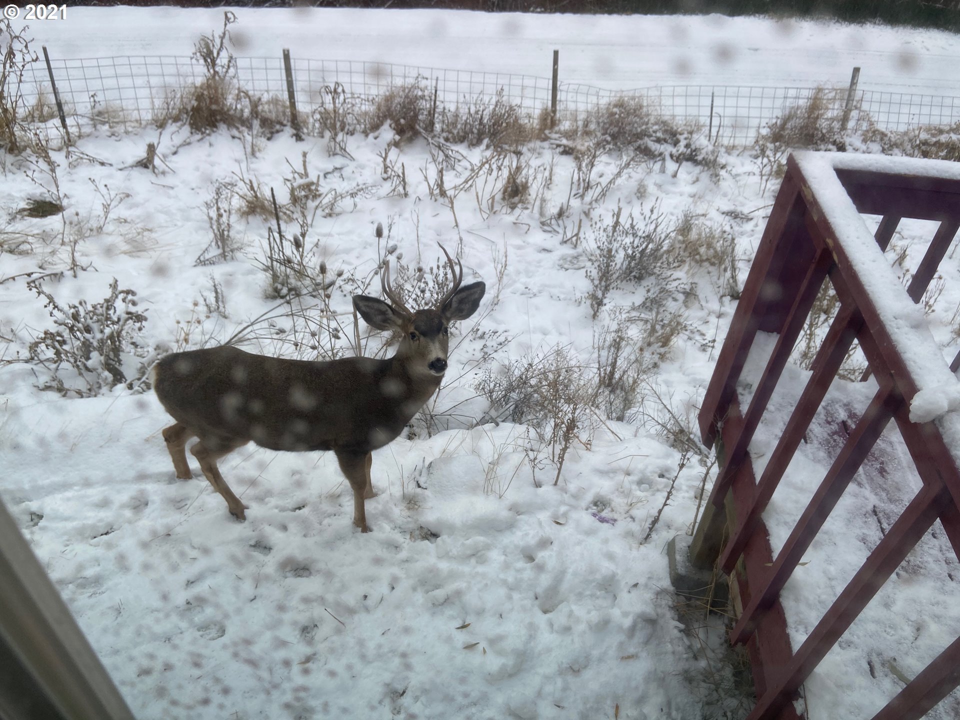 57915 Highway 203 Union, OR 97883 - Photo 26 of 27 a view of water heater and covered with snow