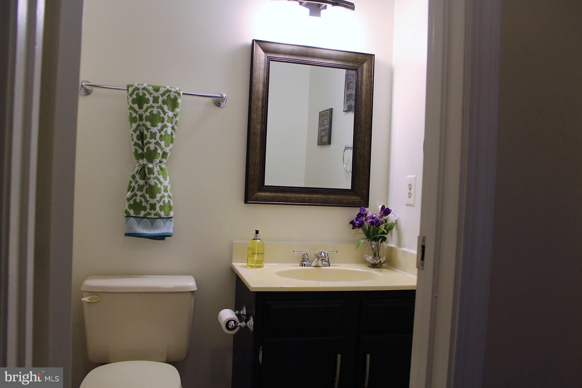 12107 Sundance Court Reston, VA 20194 - Photo 14 of 19 Basement bath with shower