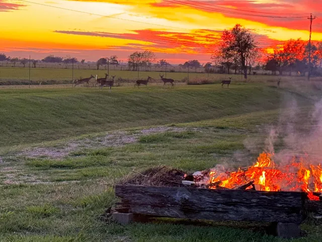 a view of a lake with a mountain