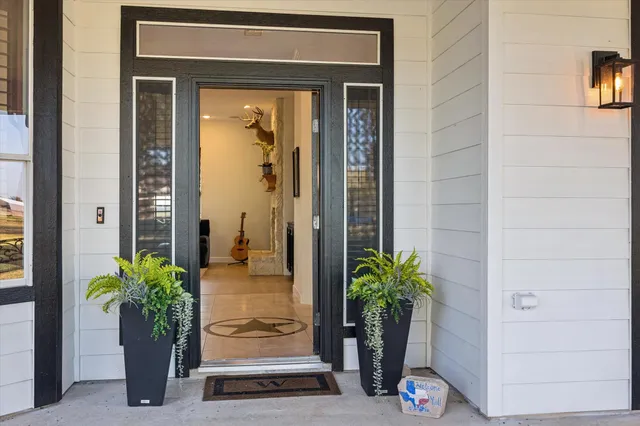 a potted plant sitting in front of a door