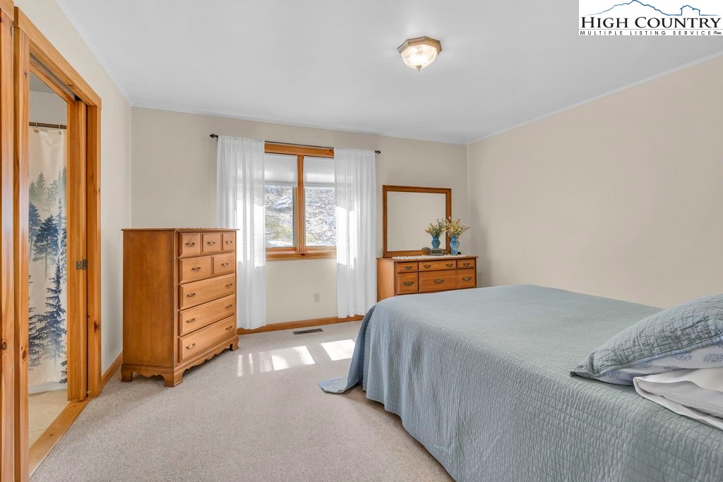 438 Virgil's Lane Boone, NC 28607 - Photo 21 of 32