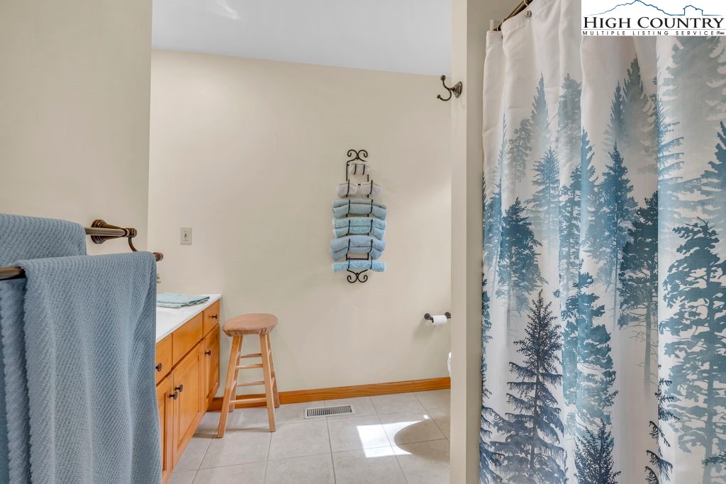 438 Virgil's Lane Boone, NC 28607 - Photo 22 of 32