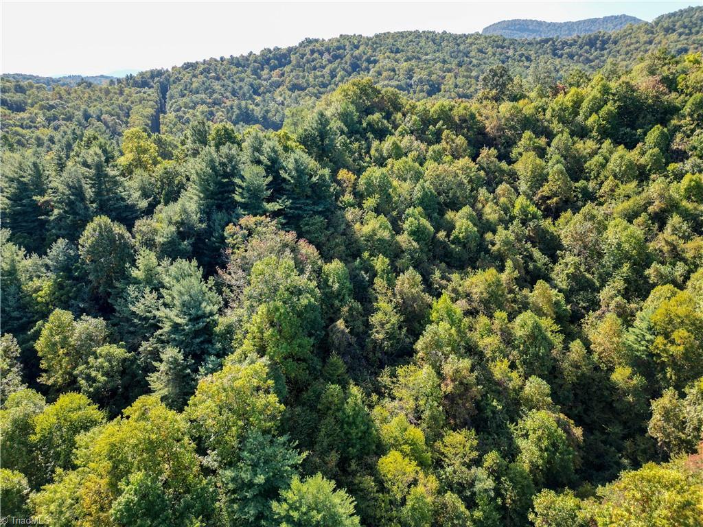 0 Orchard Road Deep Gap, NC 28618 - Photo 14 of 19